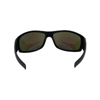 Urban Zoo Spider C12 Matte Black / Smoke w Blue Revo Lenses