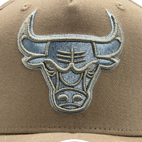 Mitchell & Ness Chicago Bulls Pro-Crown Seasonal Core Khaki OSFM