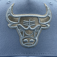 Mitchell & Ness Chicago Bulls Pro-Crown Seasonal Core Light Blue OSFM