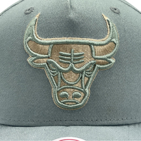 Mitchell & Ness Chicago Bulls Pro-Crown Seasonal Core Green OSFM