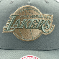 Mitchell & Ness Los Angeles Lakers Pro-Crown Seasonal Core Green OSFM