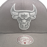 Mitchell & Ness Chicago Bulls Pro Crown Seasonal Spring Sterling OSFM