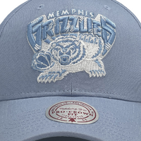 Mitchell & Ness Vancouver Grizzlies Pro Crown Seasonal Spring Sky Blue OSFM