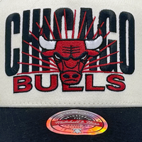 Mitchell & Ness Chicago Bulls MVP Post Up Vintage White OSFM