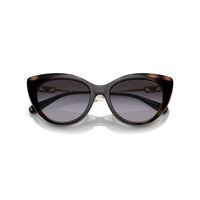 Emporio Armani EA4213U 50171W-53 Shiny Black / Clear Lenses