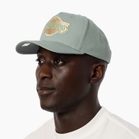 Mitchell & Ness Los Angeles Lakers Pro-Crown Seasonal Core Green OSFM