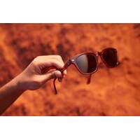 Otis Summer Of 67 X 163-2305P-OK Eco Crystal Sunset / Brown Polarised Lenses