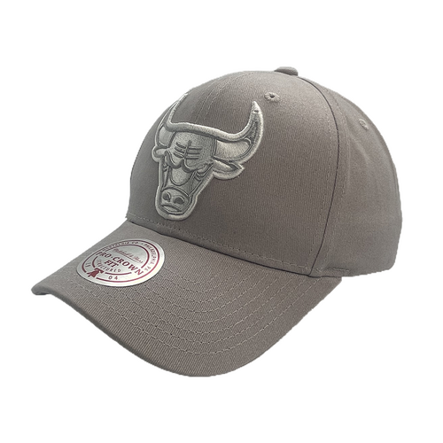 Mitchell & Ness Chicago Bulls Pro Crown Seasonal Spring Sterling OSFM