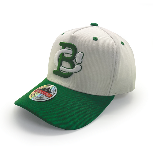 Mitchell & Ness Boston Celtics NBA Vintage Letter Cream/Green OSFM MNBC2793