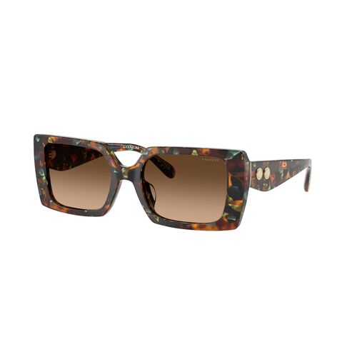 Coach CW224 HC8409U 584474-53 Jade Pearl Tortoise / Brown Gradient Lenses