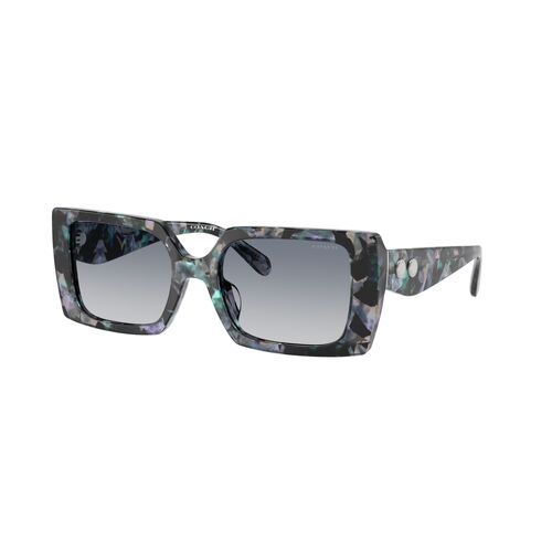 Coach CW224 HC8409U 584535-53 Blue Pearl Tortoise / Blue Purple Gradient Lenses