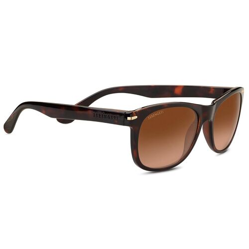 Serengeti Anteo 8671 Shiny Dark Tortoise / Drivers Gradient Polarised Photochromic Lenses