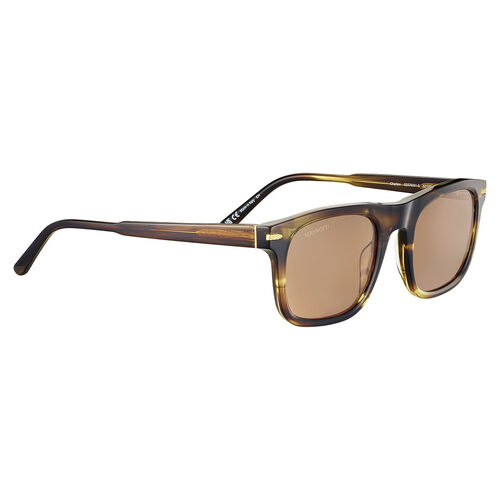 Serengeti Charlton SS576001 Shiny Tortoise / Drivers Polarised Photochromic Lenses