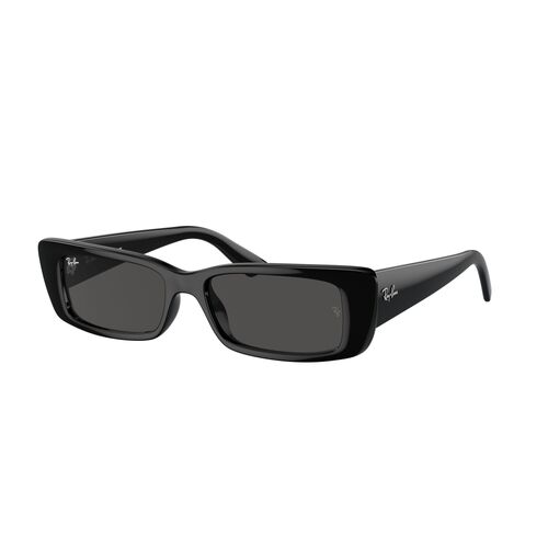 Ray-Ban RB4425 667787-54 Teru Black / Dark Grey Lenses