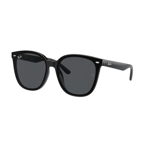 Ray-Ban RB4423D 601/87-66 Black / Dark Grey Lenses