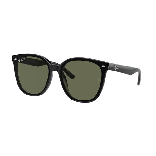 Ray-Ban RB4423D 601/9A-66 Black / Dark Green Polarised Lenses