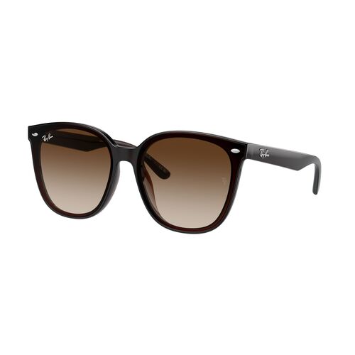 Ray-Ban RB4423D 714/13-66 Transparent Brown / Brown Gradient Lenses