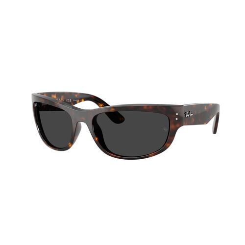 Ray-Ban RB2289 902/48-63 Mega Balorama Havana / Black Polarised Lenses