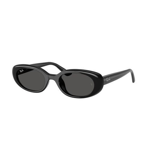 Ray-Ban RB4441D 667787-53 Black / Dark Grey Lenses