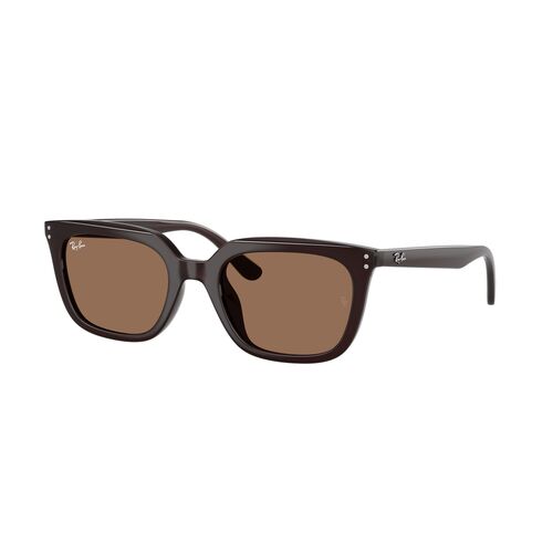 Ray-Ban RB4439D 623173-54 Opal Brown / Dark Brown Lenses