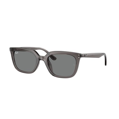 Ray-Ban RB4439D 667587-54 Transparent Grey / Dark Grey Lenses