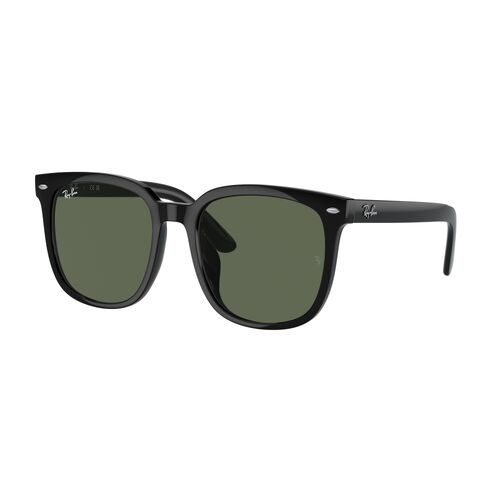 Ray-Ban RB4401D 601/71-55 Black / Dark Green Lenses