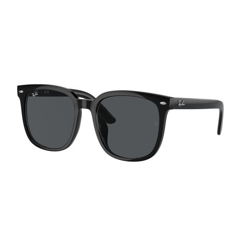 Ray-Ban RB4401D 601/87-55 Black / Dark Grey Lenses