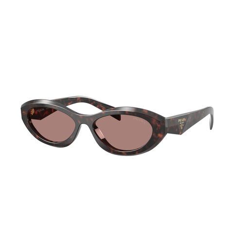 Prada PR26ZS 17N60B-55 Root Tortoise / Light Brown Lenses