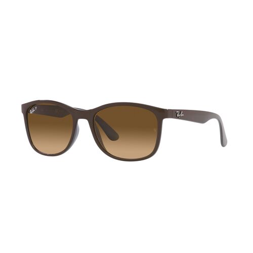 Ray-Ban RB4374 6600M2-56 Brown On Grey / Brown Gradient Polarised Lenses