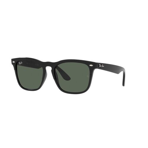 Ray-Ban RB4487F 662971-54 Steve Black / Dark Green Lenses