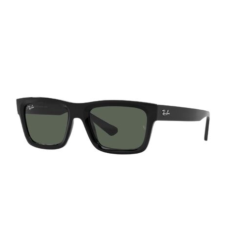 Ray-Ban RB4396 667771-54 Warren Black / Dark Green Lenses