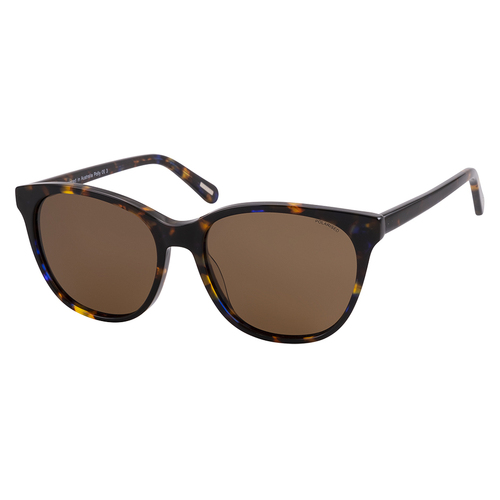 Bill Bass Polly 25943 Tortoise / Brown Polarised Lenses